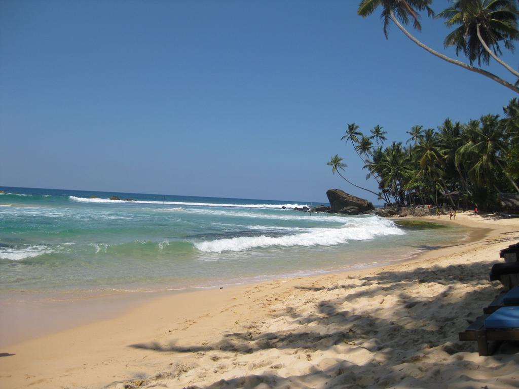 Lazy Lizard Hotel Galle Bagian luar foto